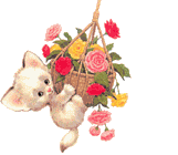  Fluffy Joy-питомник персидских кошек окраса биколор - Страница 2 134481